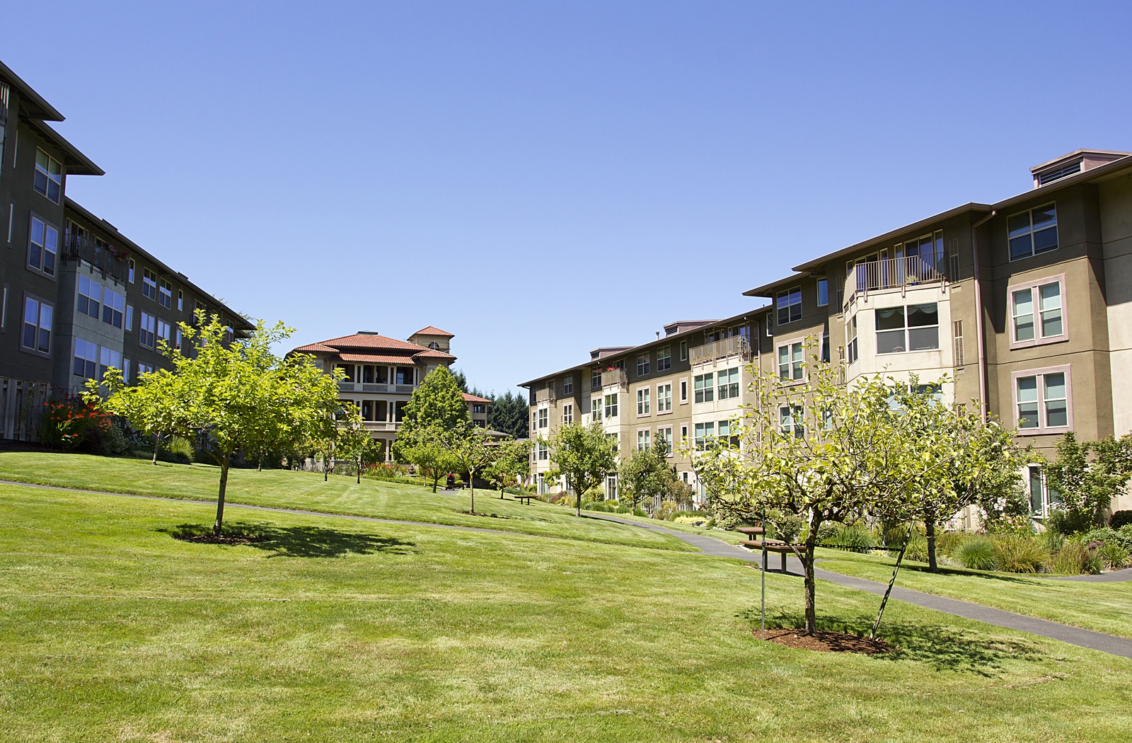 A view of a large grass area with sunshine in the center of a senior living community